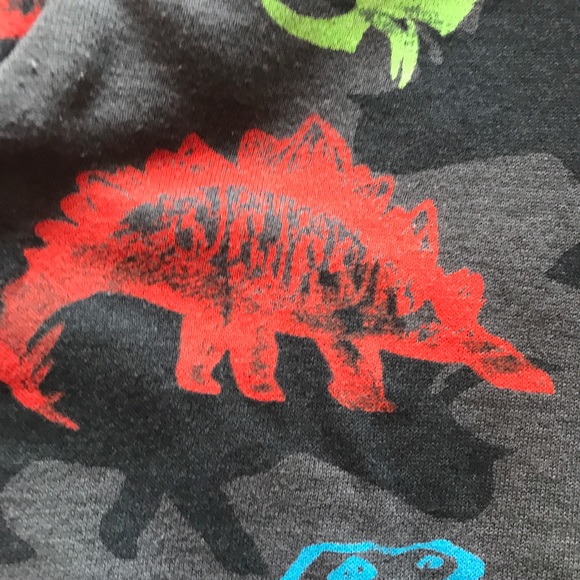 Children’s Place Fleece Lined Dinosaur Hoodie 2T - Picture 12 of 13